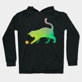 green sky cat pay with planet Hoodie